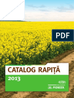 Catalog Rapita 2013