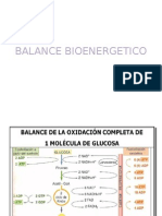 Balance Bioenergetico