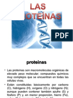 Importancia de Las Proteínas.