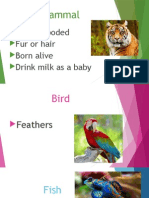 Animal Characteristic Slides