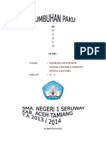 TUMBUHAN PAKU.docx