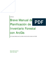 Manual  ArcGis