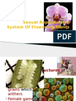 Sexual Reproductive System Of Flowering Plants.pptx