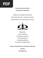 Download LAPORAN KEGIATAN PMTCT by yudhagp SN255816121 doc pdf