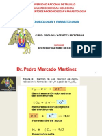 Bioenergetica Torre de Electrones-12 PDF