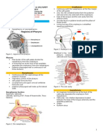 The Pharynx and Salivary Glands