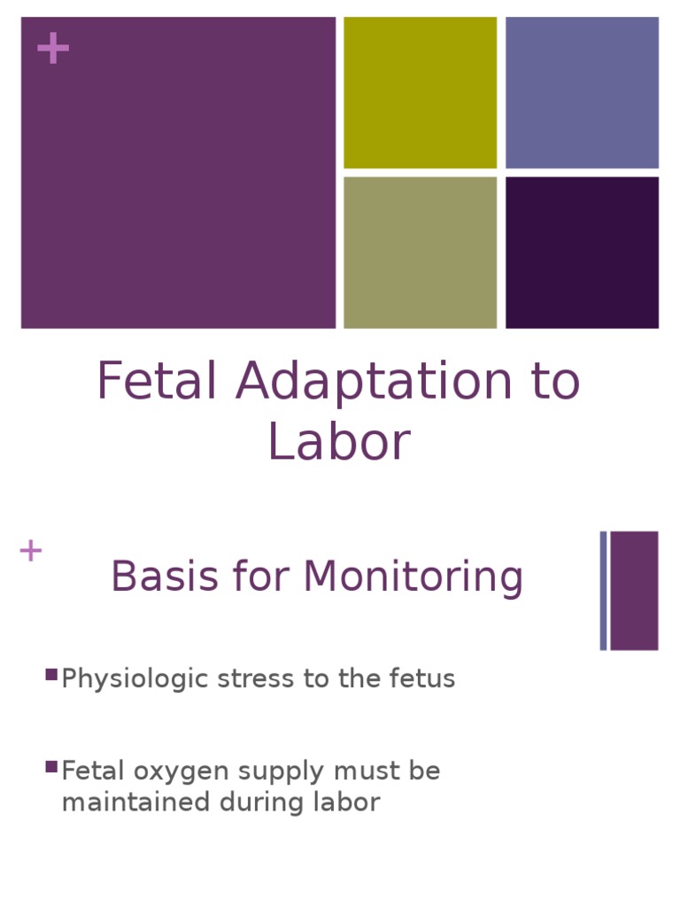 Fetal Monitoring Techniques in Labor | PDF | Childbirth | Maternal Health