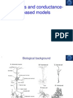 Neurons and Conductance-Based Models