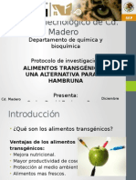 Presentacion Protocolo