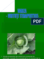 Varza - Virtuti Terapeutice