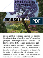 El arte del bonsái