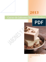 Guía Saponificados 2013.pdf - 1