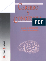  Cerebro y Conciencia