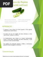 Cultura Do Pepino