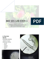 Bio 101 LAB EXER 1