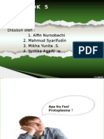 Fusi Protoplasma