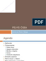 Clase 1. Pelvis Ósea PDF