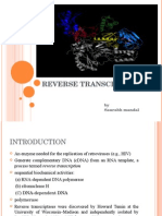 Reverse Transcriptase