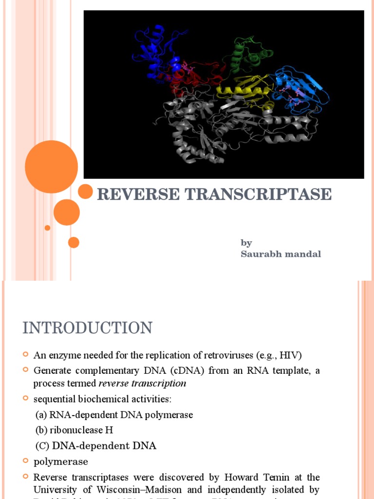 Understanding Reverse Transcriptase Functions | PDF