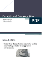 Durability of Concrete Piles: Agnes Ferinna Zakaria Niode