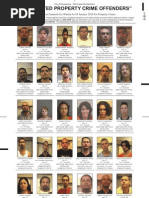 Most Wanted Property Crime Offenders, Jan. 2010