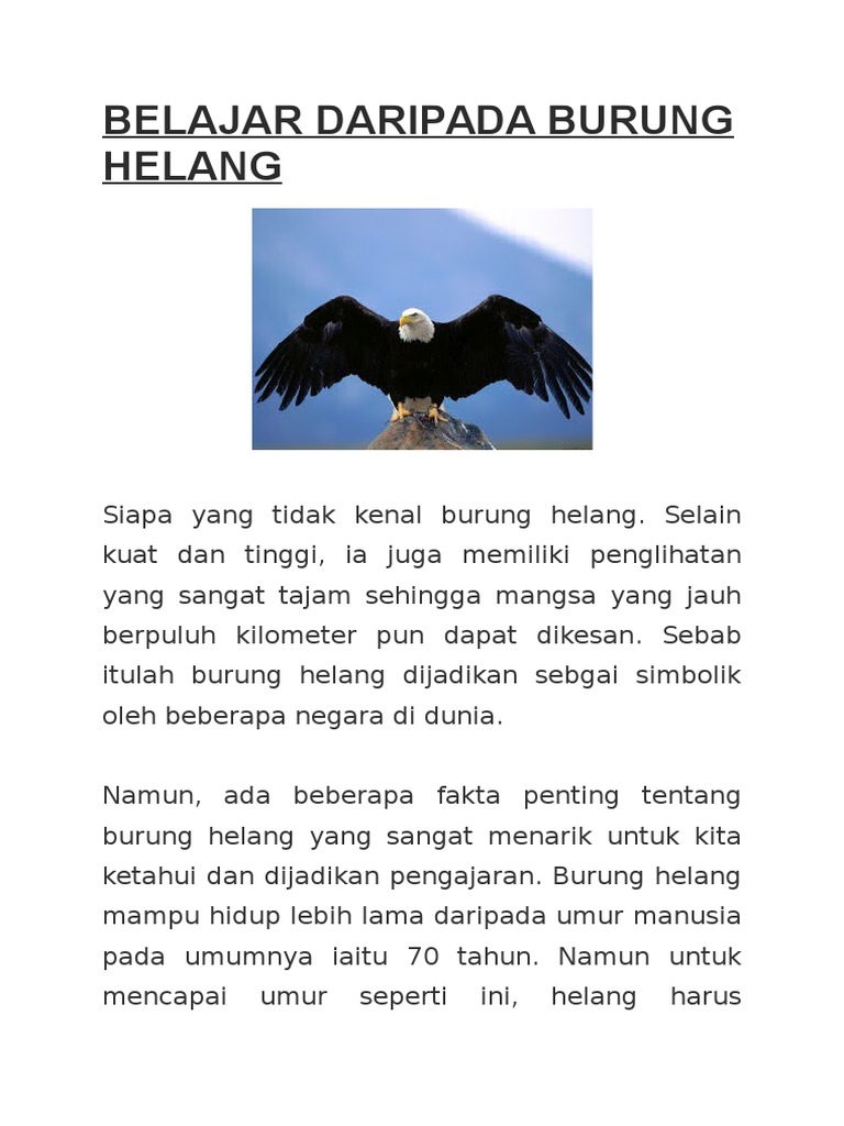 Belajar Daripada Burung Helang Pdf