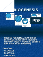 06-Embriogenesis.ppt