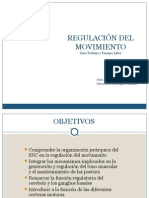 Regulación Del Movimiento 2013