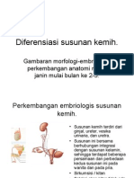 Embriologi