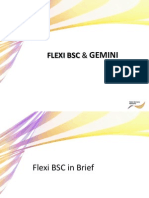 Flexi BSC Gemini