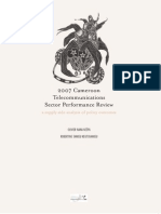 Cameroon Telecommunications Sector Performance Review 2007