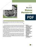 Sistem Peredaran Darah PDF