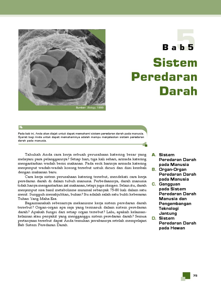 SISTEM PEREDARAN DARAHpdf
