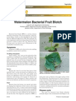 MU Guide: Watermelon Bacterial Fruit Blotch