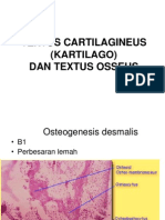 Cartilago Dan Osseus PDF