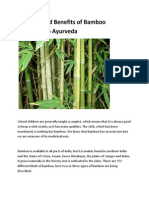 Qualities and Benefits of Bamboo According To Ayurveda