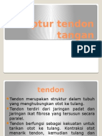 Ruptur Tendon Flexor Extensor