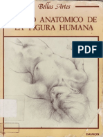 Dibujo anatómico de la figura humana - JPR504