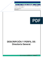 DFA-RH012 Descripcion de Puesto Director_a_ General
