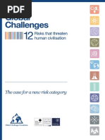 12 Risks With Infinite Impact Full Report