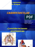 Cardiovascular 2