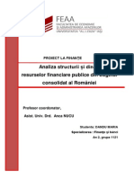 PROIECT LA FINANȚE - Dandu Maria - Grupa 1121 PDF