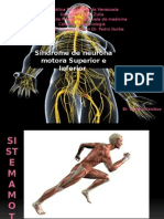 Sx Motoneurona neurologico