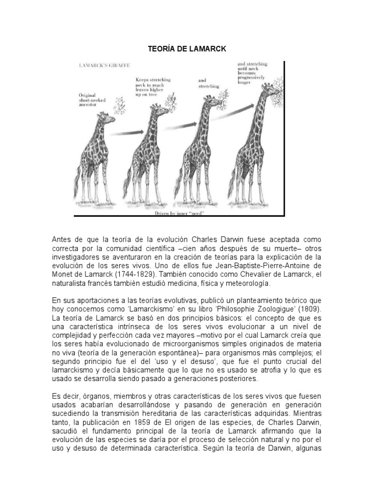 Quais As Principais Críticas A Teoria De Lamarck