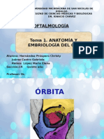 Tema 1 - Anatomía y Embriología Del Ojo