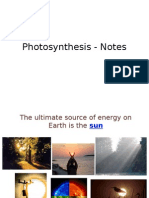 Photosynthesis Notes