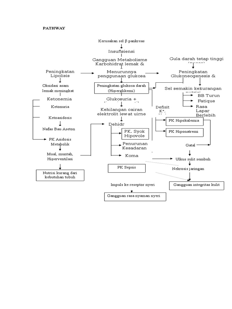 Askep DM Tipe 1: Panduan Perawatan Diabetes