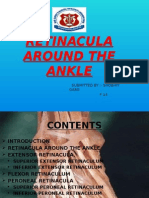 Ankle Retinacula: Structure and Function