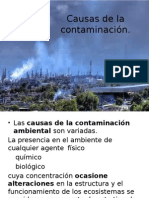 Causas de La Contaminación 
