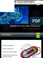 Microbiologia - Aula 02 (Morfologia Bacteriana)